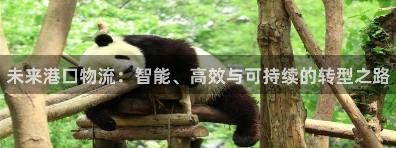 28圈官网平台下载:未来港口物流:智