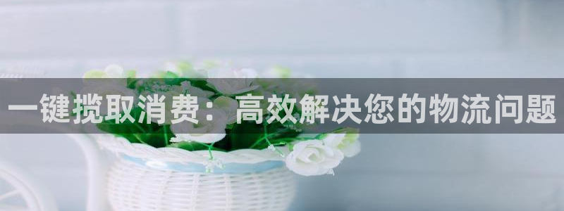 28圈aPP退款:一键揽取消费:高效