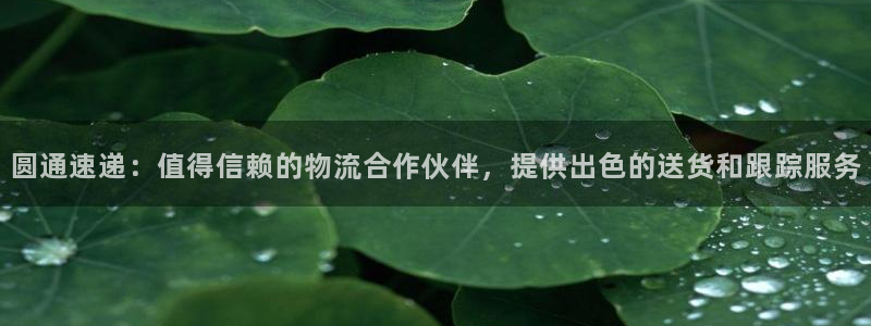 28圈注册网站多少:圆通速递:值得信