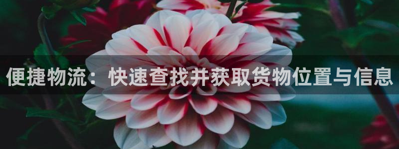 28圈下载二维码怎么弄:便捷物流:快