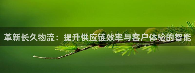 28圈是什么是赌博吗?:革新长久物流