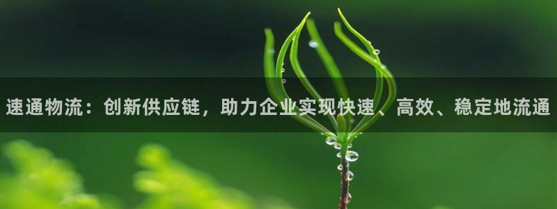 28圈充值：速通物流：创新供应链，助