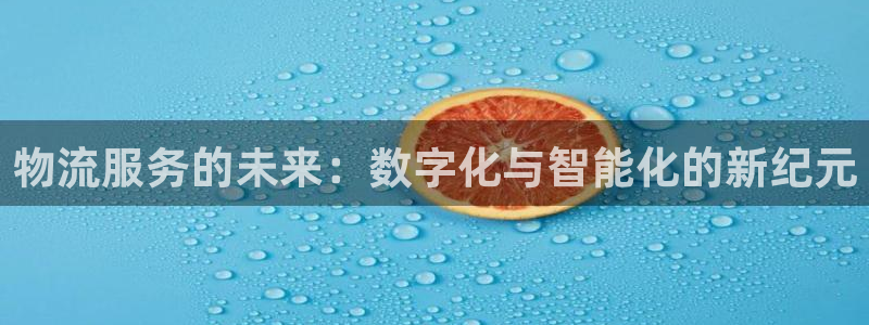 28圈官网预测：物流服务的未来：数字