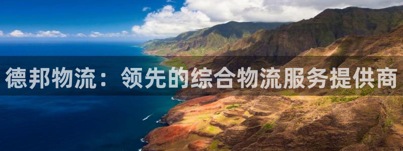 28圈黑不黑：德邦物流：领先的综合物
