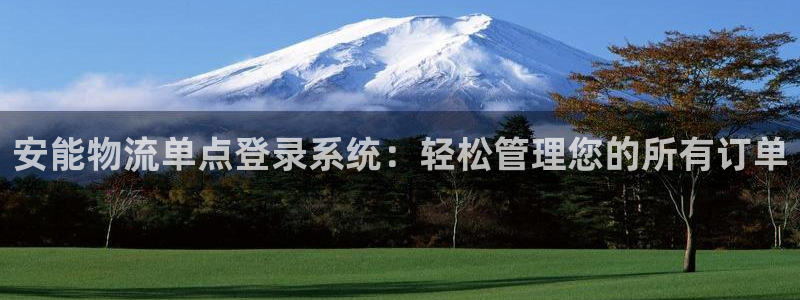 南宫28圈怎么注册：安能物流单点登录
