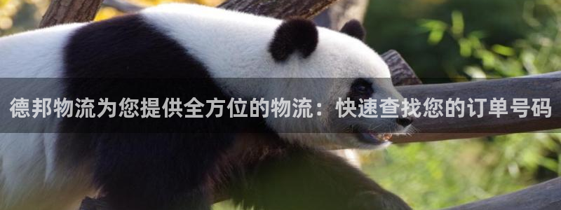 28圈app能退款吗:德邦物流为您提