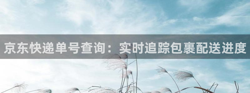 28圈.ccmpc是诈骗吗?:京东快
