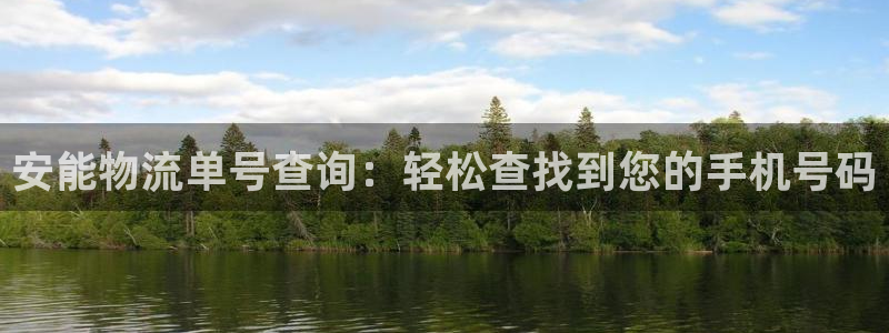 28圈.ccmpc29官网版：安能物流单号查询：轻松查找到您